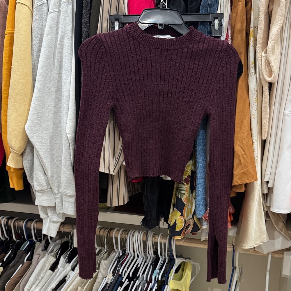 Zara Burgundy Ribbed Knit Sweater